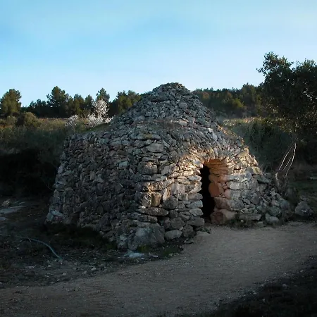 Catalunya Charm On An Olive Farm In Costa Dorada!