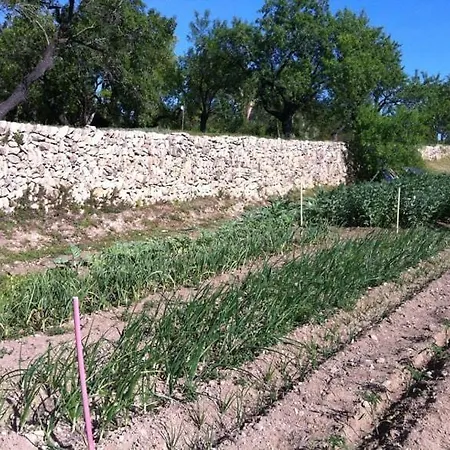 Catalunya Charm On An Olive Farm In Costa Dorada! וילה Vespellá