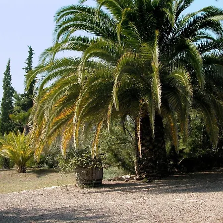 Villa Catalunya Charm On An Olive Farm In Costa Dorada! Vespella de Gaia